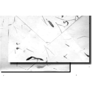 BarcodeBrushes