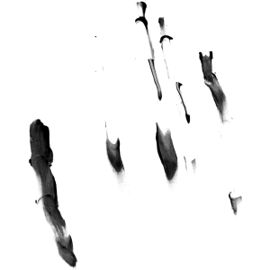 BombBrushes