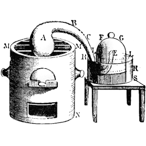 Century Leichmann