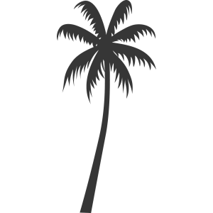 Coconut Tree Brush