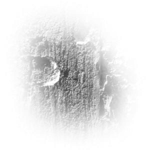 CrackBrushes