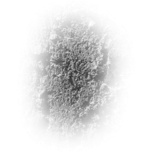 CrackBrushes