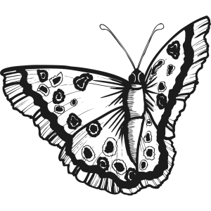 DesignBrushes