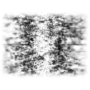 GlitterBrushes