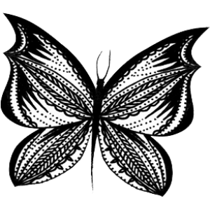 SchmetterlingBrushes