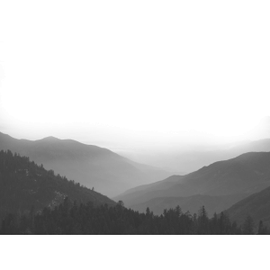 Sentinels of Time