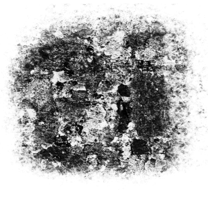 TexturBrushes