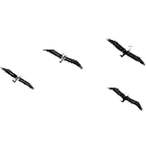VogelschwarmBrushes
