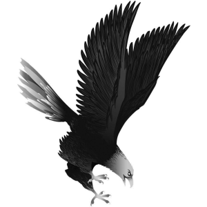eagles