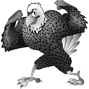 eagles