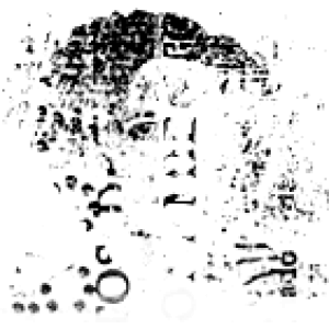 stamp brushes